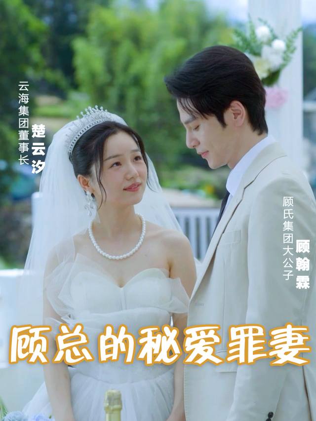 顾总秘爱罪妻封面