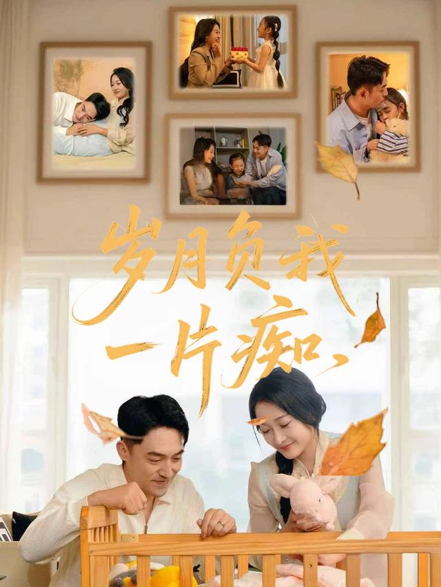 岁月负我一片痴封面