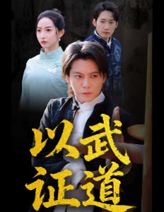 以武证道封面