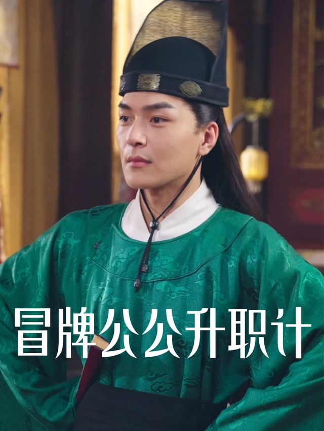 冒牌公公升职记封面