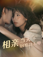 相亲当天闪婚路人甲封面