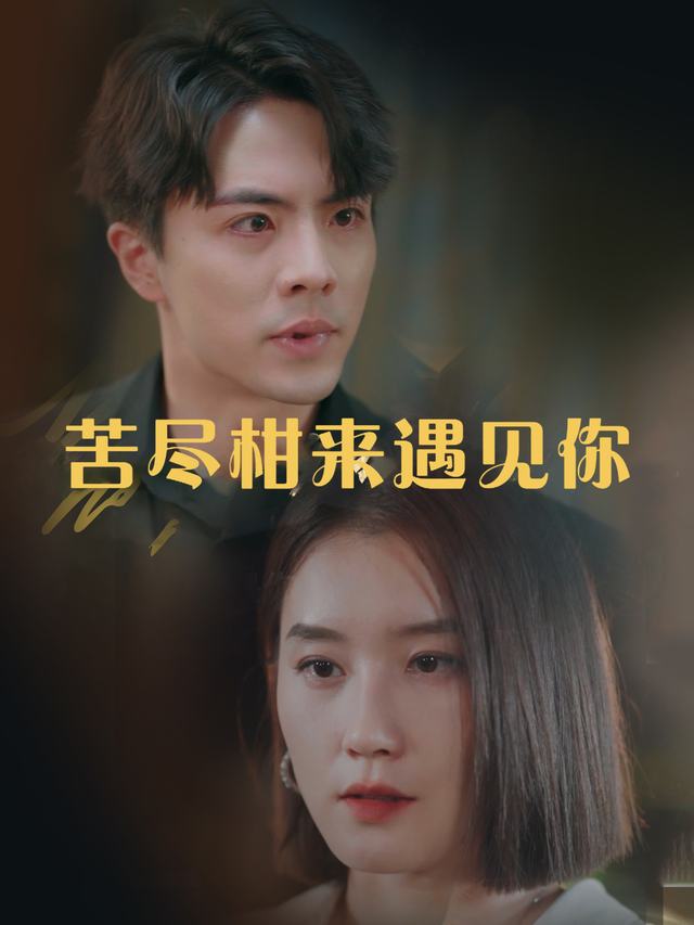 苦尽柑来遇见你封面