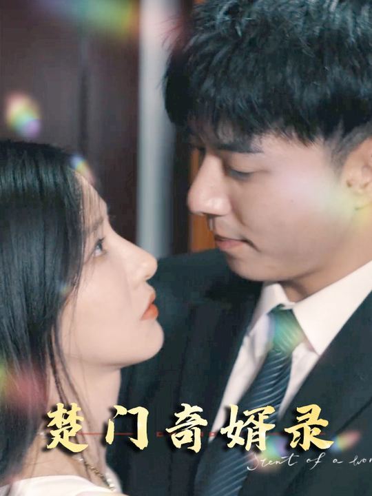楚门奇婿录封面