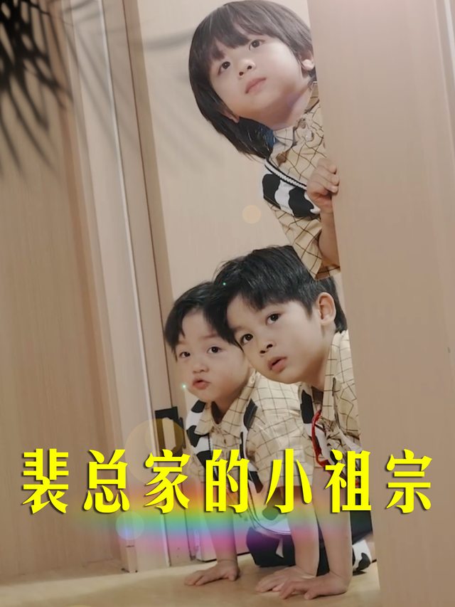 裴总家的小祖宗封面