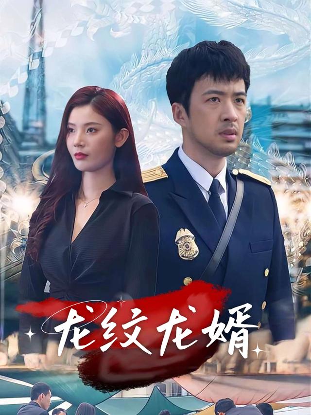 龙纹龙婿封面