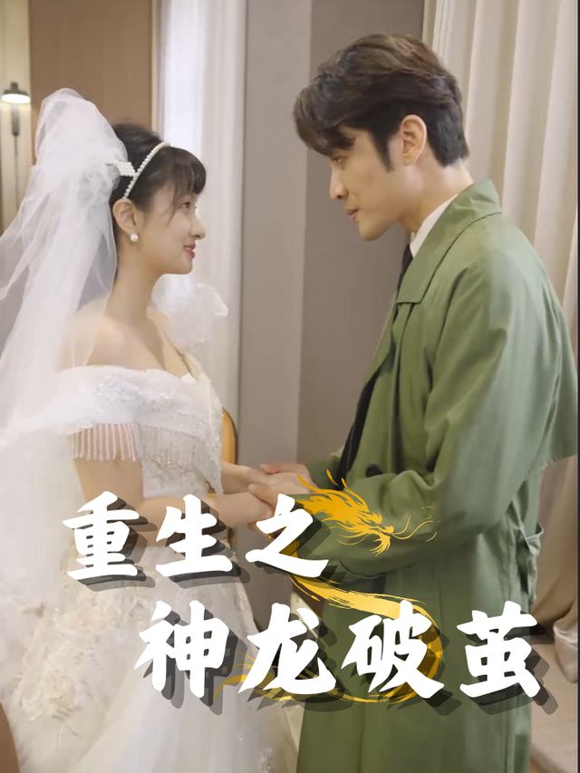 重生之神龙破茧封面