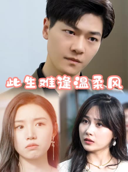 此生难逢温柔风封面
