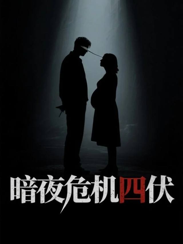 暗夜危机四伏封面