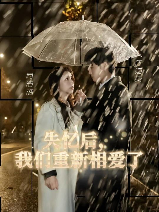失忆后,我们重新相爱了封面