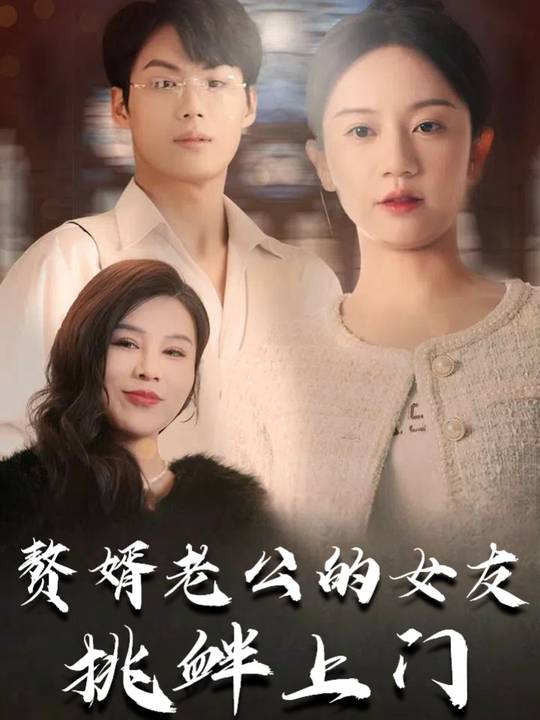 赘婿老公的女友挑衅上门封面