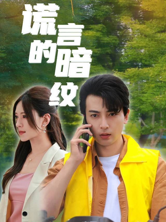 谎言的暗纹封面
