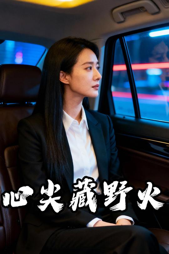 心尖藏野火封面