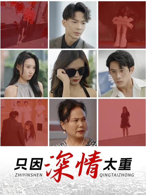 只因深情太重封面