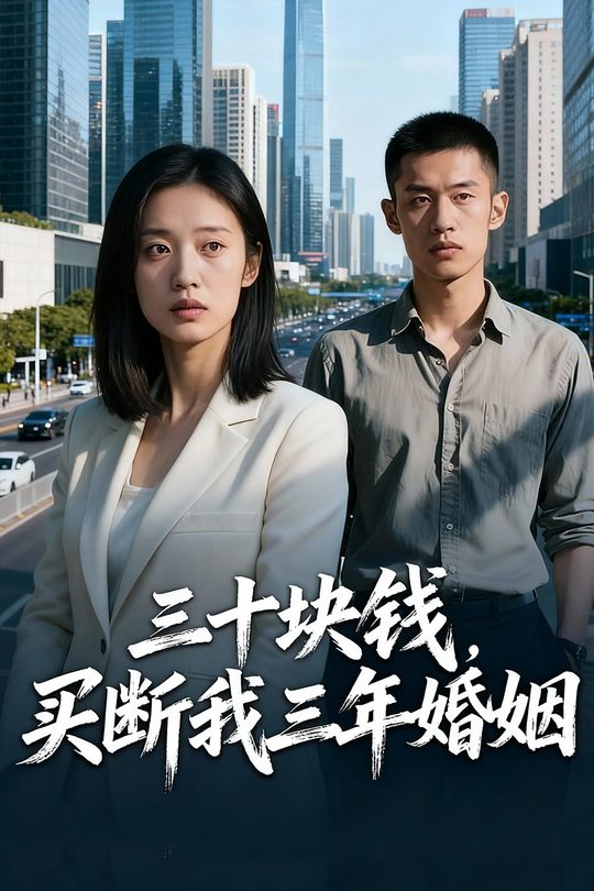 三十块钱,我买断我三年婚姻封面