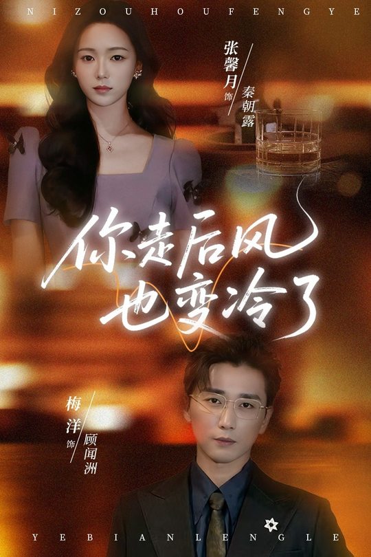 你走后风也变冷了封面