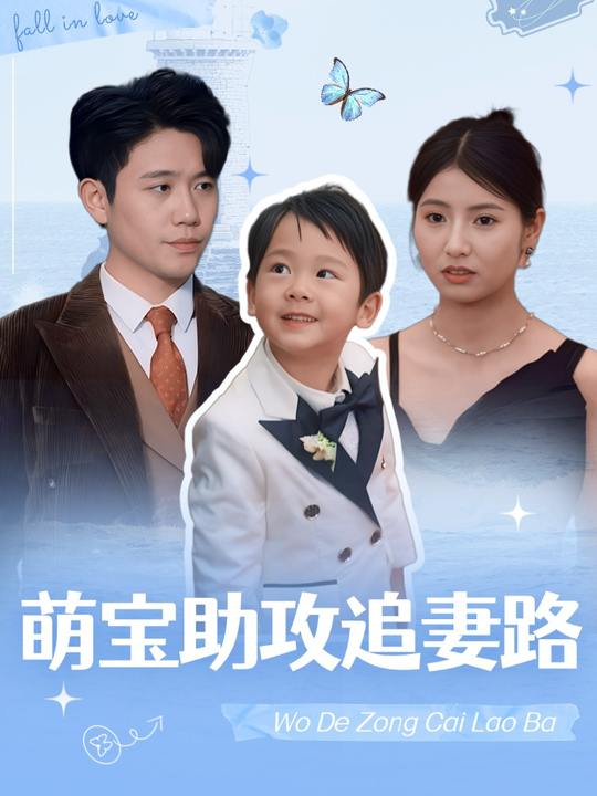 萌宝助攻追妻路封面