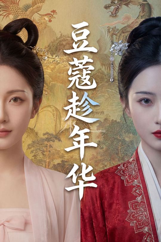 豆蔻趁年华封面