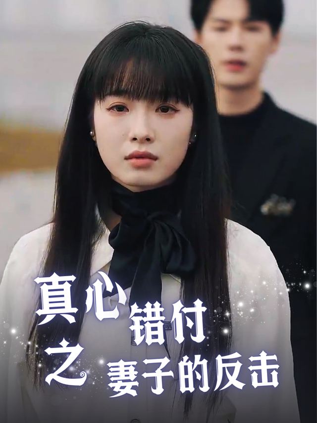 真心错付之妻子的反击封面