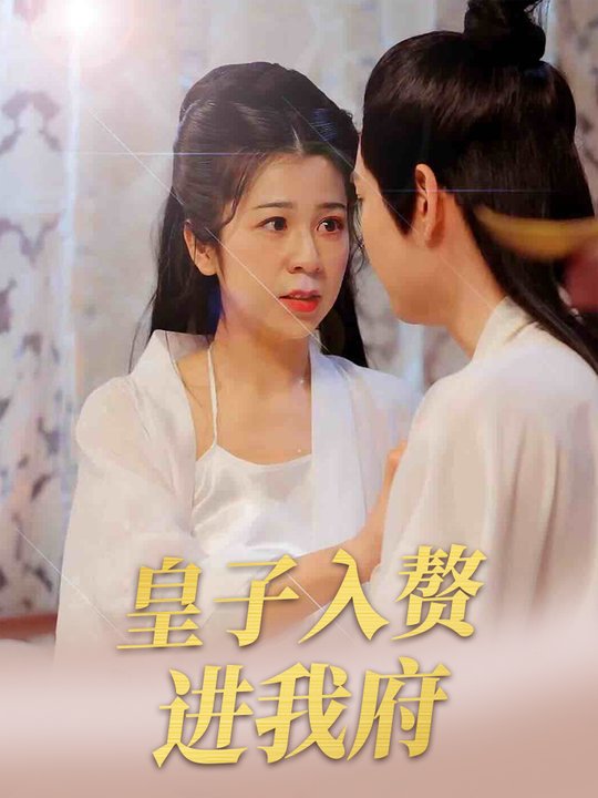 皇子入赘进我府封面