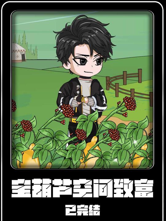 宝葫芦空间致富封面