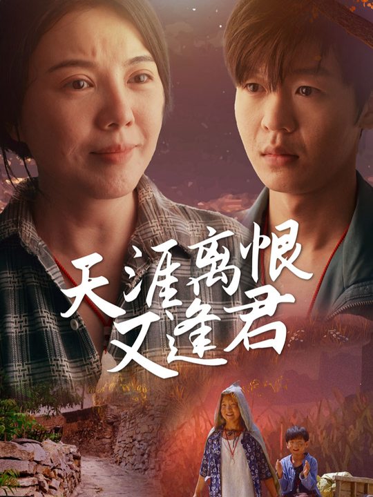 天涯离恨又逢君封面