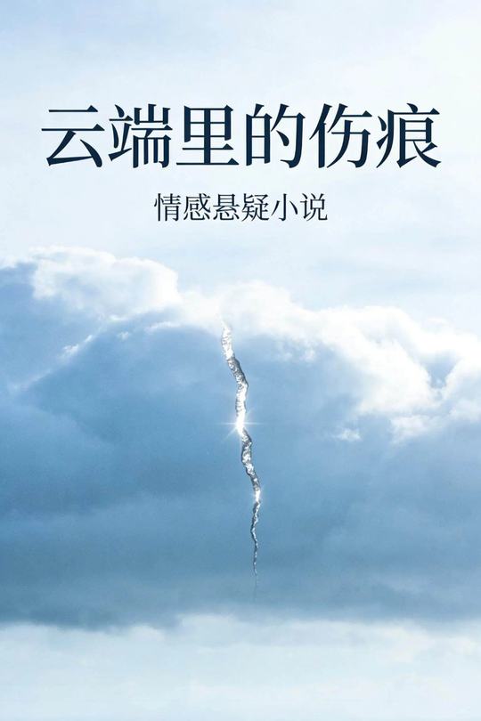 云端里的伤痕封面