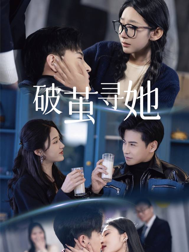 破茧寻她封面