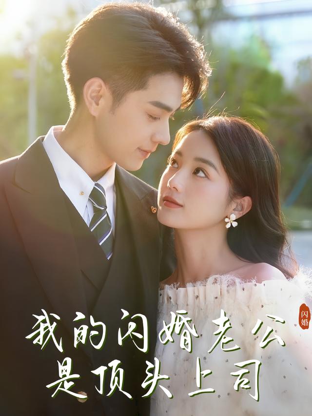 我的闪婚老公是顶头上司封面