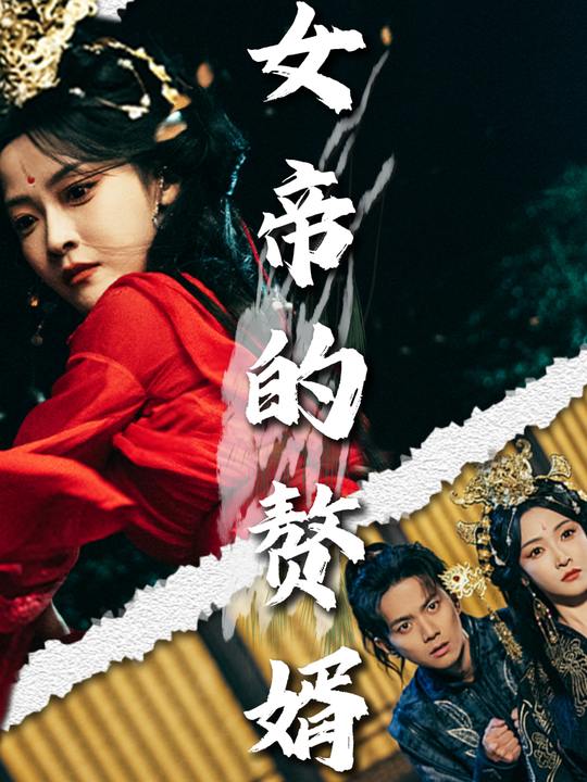 女帝的赘婿封面