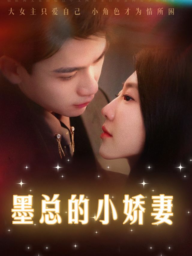 墨总的小娇妻封面