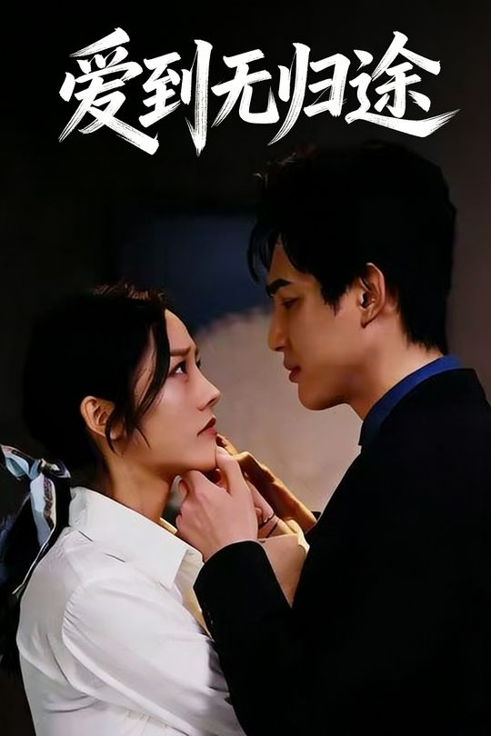 爱到无归途封面