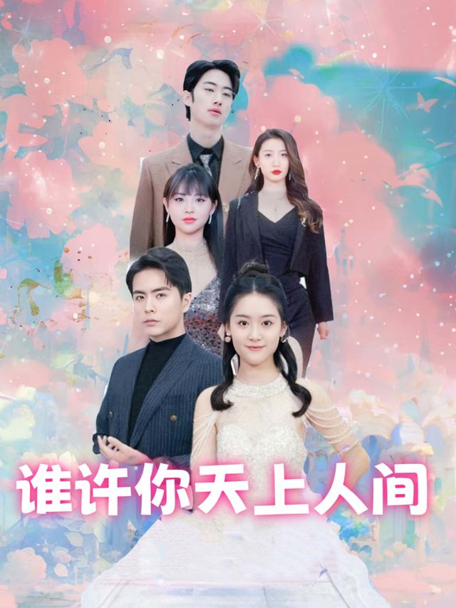 谁许你天上人间封面