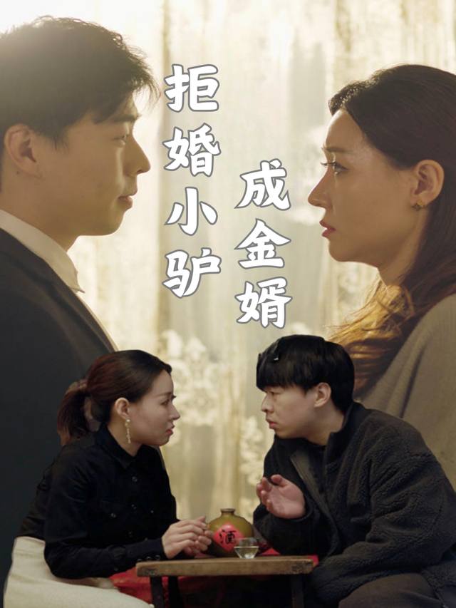 拒婚小驴成金婿封面