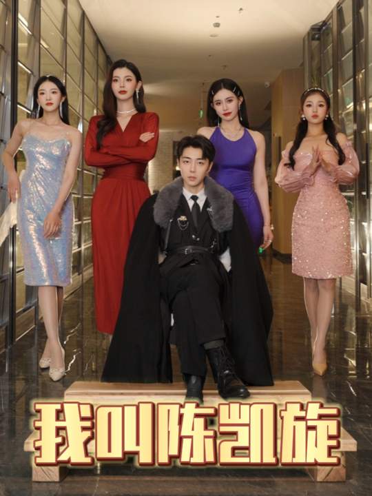 我叫陈凯旋封面