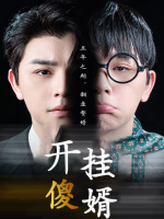 开挂傻婿封面