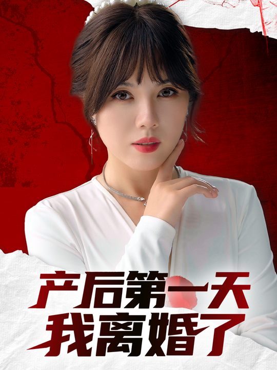 产后第一天我离婚了封面