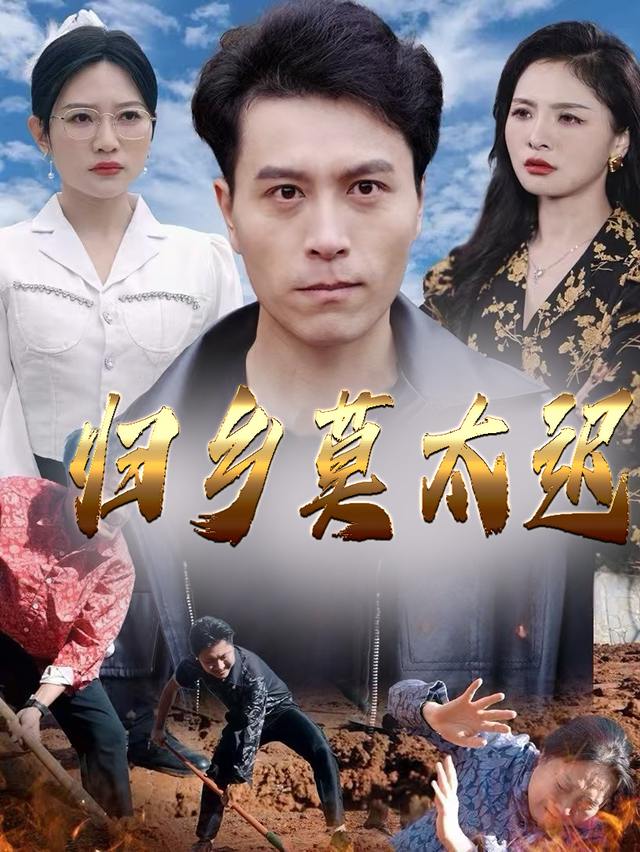 归乡莫太迟封面