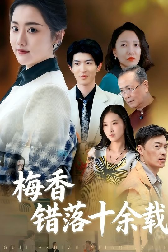 梅香错落十余载封面