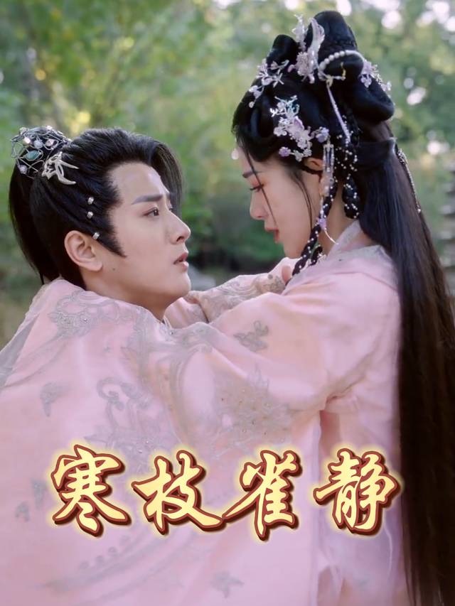 寒枝雀静封面