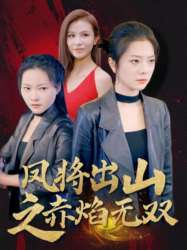 凤将出山之赤焰无双封面