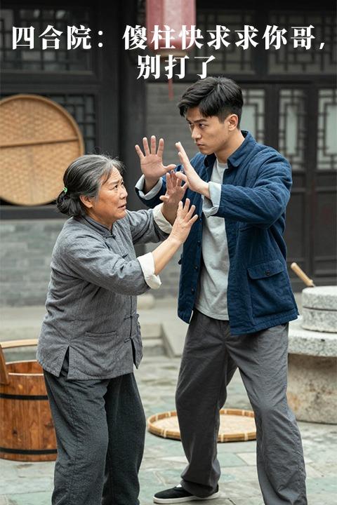 四合院:傻柱快求求你哥,别打了封面