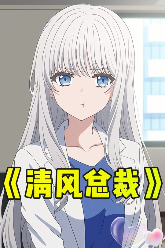 清风总裁封面