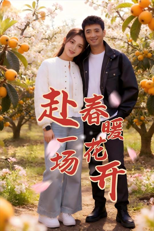 赴一场春暖花开封面