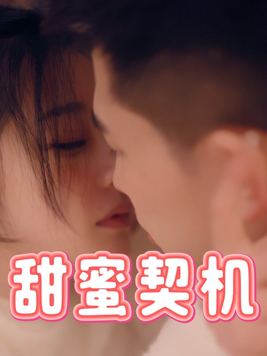 甜蜜契机封面