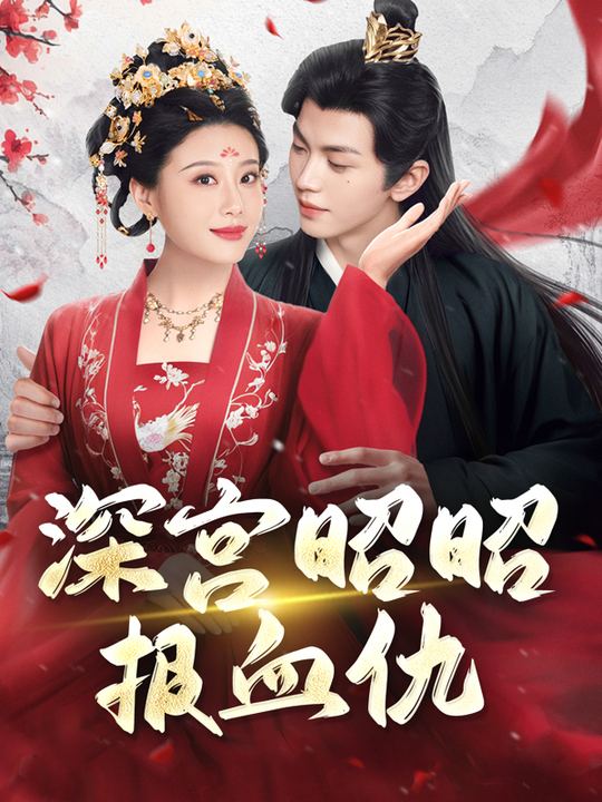 深宫昭昭报血仇封面