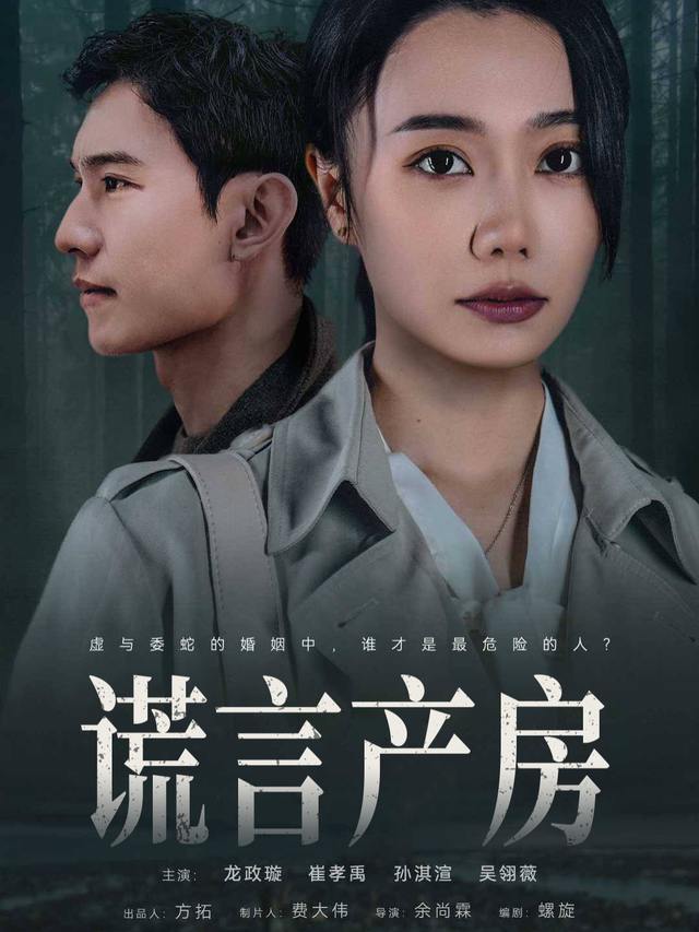 谎言产房封面