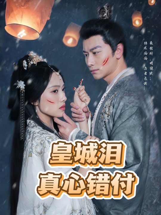 皇城泪真心错付封面