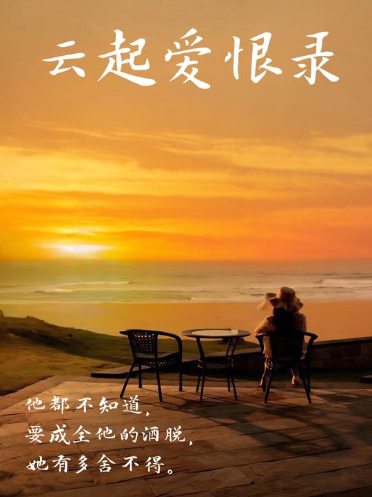 云起爱恨录封面