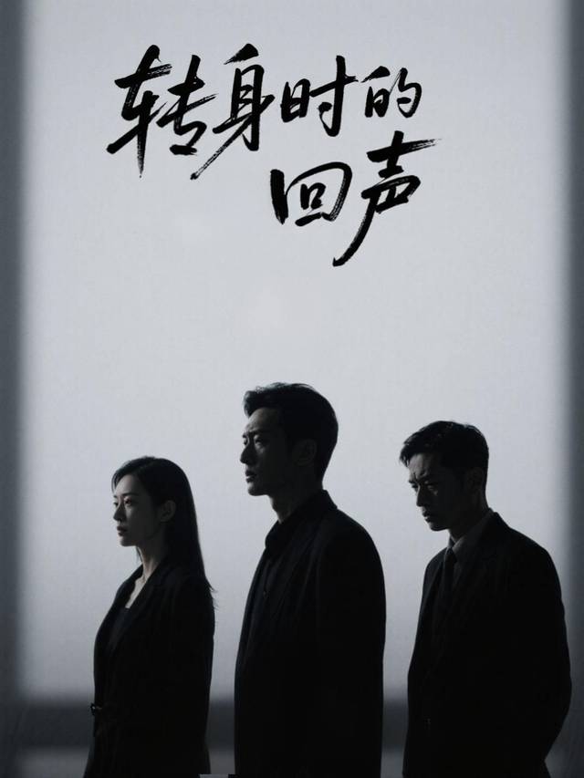 转身时的回声封面