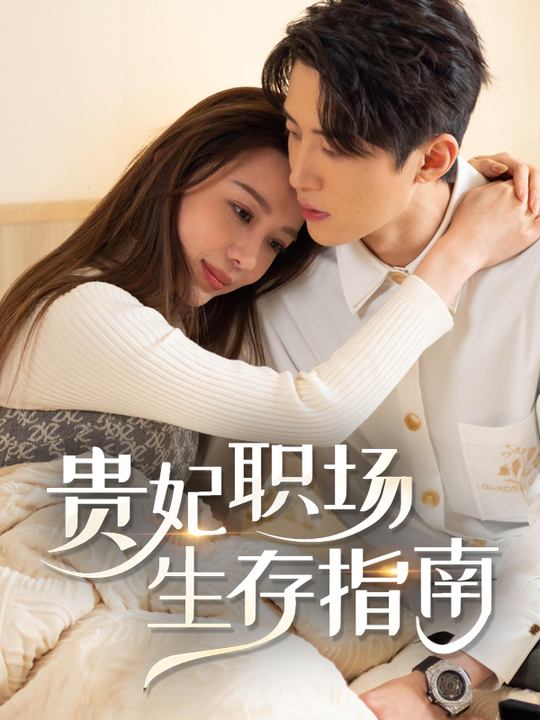 贵妃职场生存指南封面